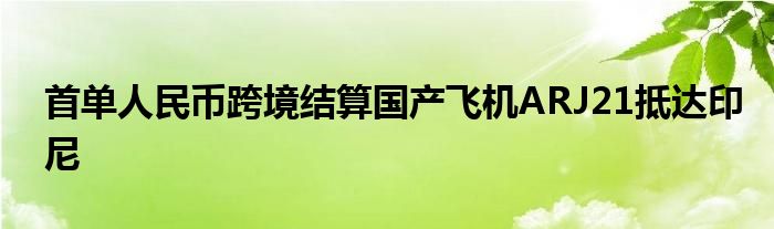 首单人民币跨境结算国产飞机ARJ21抵达印尼