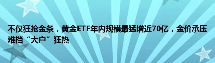 不仅狂抢金条，黄金ETF年内规模最猛增近70亿，金价承压难挡“大户”狂热