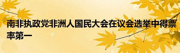 南非执政党非洲人国民大会在议会选举中得票率第一