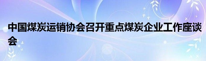 中国煤炭运销协会召开重点煤炭企业工作座谈会