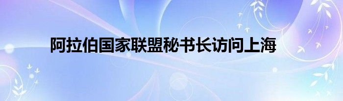 阿拉伯国家联盟秘书长访问上海