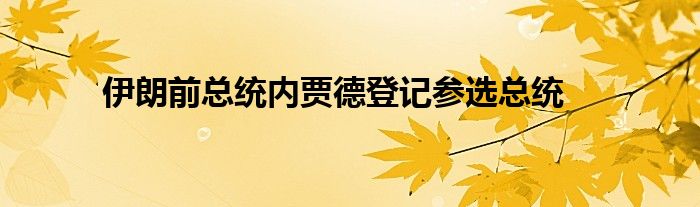 伊朗前总统内贾德登记参选总统