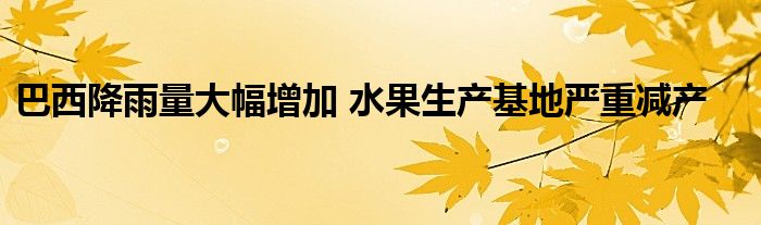 巴西降雨量大幅增加 水果生产基地严重减产