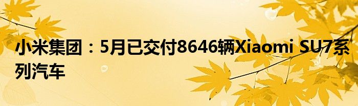 小米集团：5月已交付8646辆Xiaomi SU7系列汽车