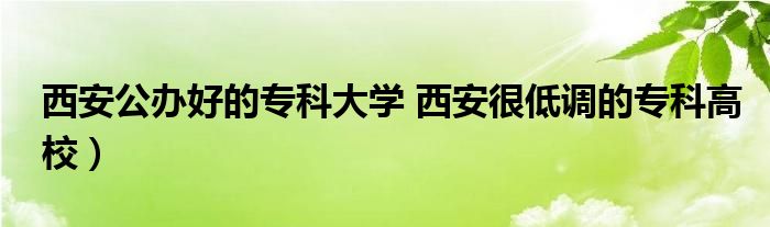 西安公办好的专科大学 西安很低调的专科高校）