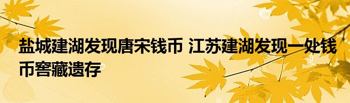 盐城建湖发现唐宋钱币 江苏建湖发现一处钱币窖藏遗存