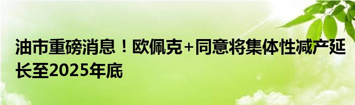 油市重磅消息！欧佩克+同意将集体性减产延长至2025年底