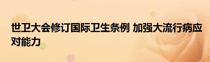 世卫大会修订国际卫生条例 加强大流行病应对能力