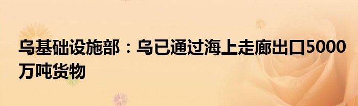 乌基础设施部：乌已通过海上走廊出口5000万吨货物