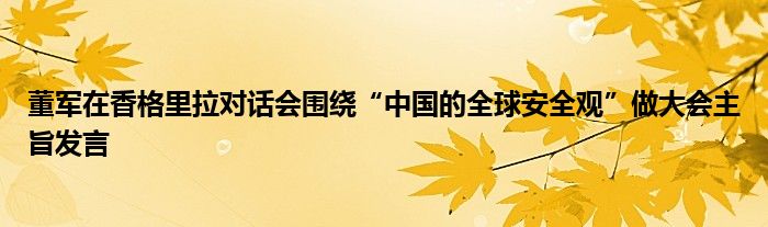 董军在香格里拉对话会围绕“中国的全球安全观”做大会主旨发言