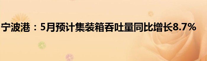 宁波港：5月预计集装箱吞吐量同比增长8.7%