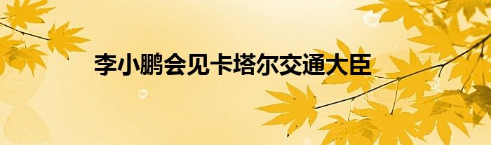 李小鹏会见卡塔尔交通大臣