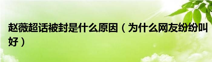 赵薇超话被封是什么原因（为什么网友纷纷叫好）