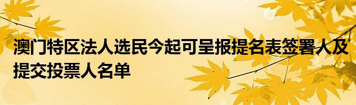 澳门特区法人选民今起可呈报提名表签署人及提交投票人名单