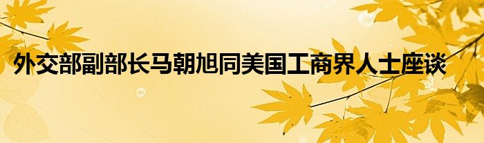 外交部副部长马朝旭同美国工商界人士座谈