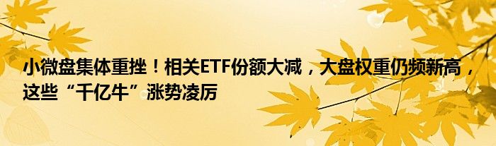 小微盘集体重挫！相关ETF份额大减，大盘权重仍频新高，这些“千亿牛”涨势凌厉