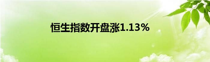 恒生指数开盘涨1.13%