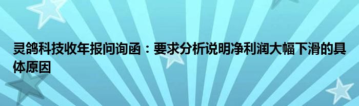 灵鸽科技收年报问询函：要求分析说明净利润大幅下滑的具体原因