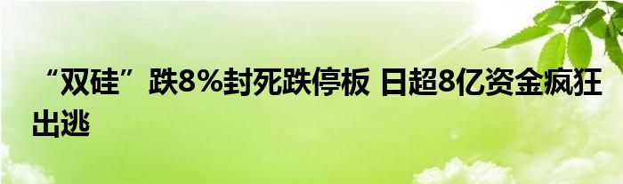 “双硅”跌8%封死跌停板 日超8亿资金疯狂出逃