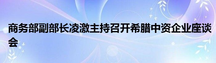 商务部副部长凌激主持召开希腊中资企业座谈会