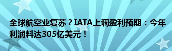 全球航空业复苏？IATA上调盈利预期：今年利润料达305亿美元！