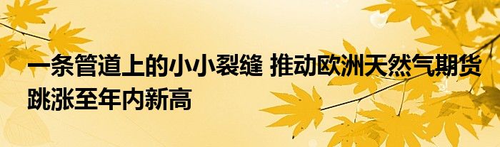 一条管道上的小小裂缝 推动欧洲天然气期货跳涨至年内新高