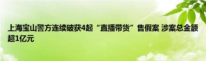 上海宝山警方连续破获4起“直播带货”售假案 涉案总金额超1亿元