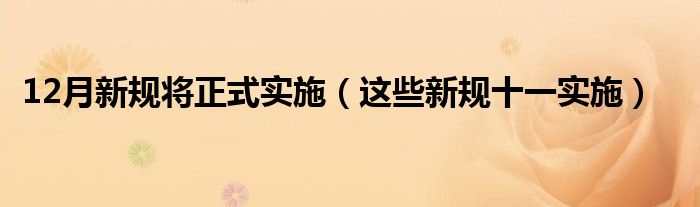 12月新规将正式实施（这些新规十一实施）