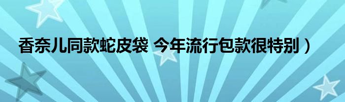 香奈儿同款蛇皮袋 今年流行包款很特别）