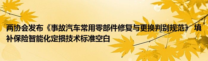 两协会发布《事故汽车常用零部件修复与更换判别规范》 填补保险智能化定损技术标准空白