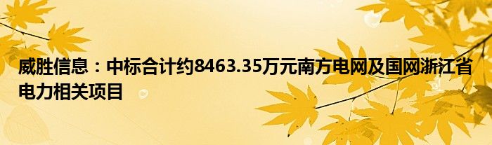 威胜信息：中标合计约8463.35万元南方电网及国网浙江省电力相关项目