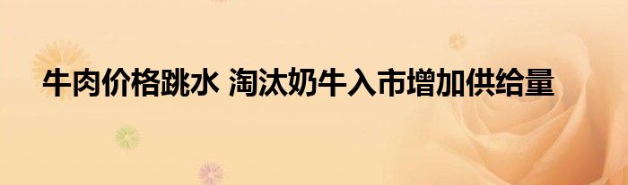 牛肉价格跳水 淘汰奶牛入市增加供给量