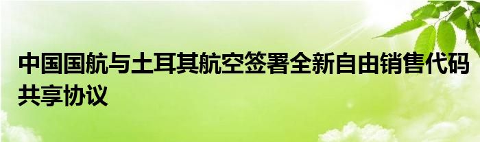 中国国航与土耳其航空签署全新自由销售代码共享协议