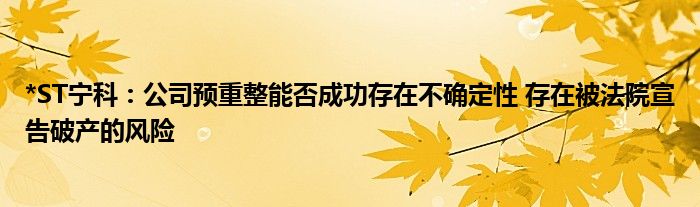 *ST宁科：公司预重整能否成功存在不确定性 存在被法院宣告破产的风险