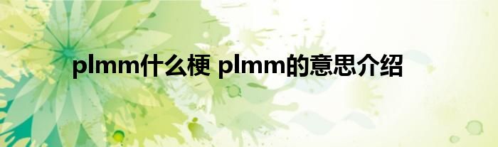 plmm什么梗 plmm的意思介绍