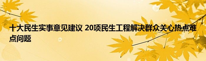 十大民生实事意见建议 20项民生工程解决群众关心热点难点问题