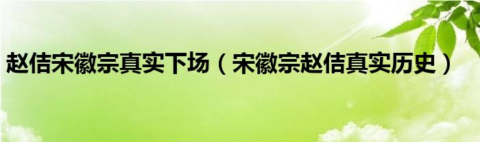 赵佶宋徽宗真实下场（宋徽宗赵佶真实历史）