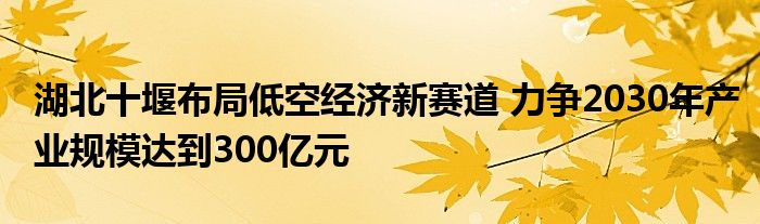 湖北十堰布局低空经济新赛道 力争2030年产业规模达到300亿元