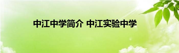 中江中学简介 中江实验中学