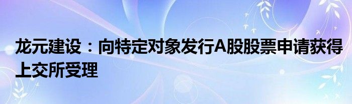 龙元建设：向特定对象发行A股股票申请获得上交所受理