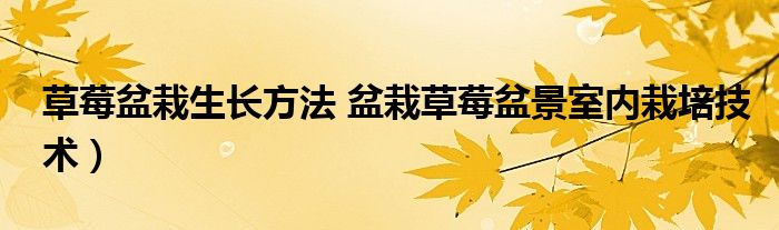 草莓盆栽生长方法 盆栽草莓盆景室内栽培技术）