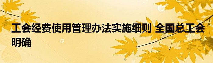 工会经费使用管理办法实施细则 全国总工会明确