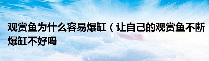 观赏鱼为什么容易爆缸（让自己的观赏鱼不断爆缸不好吗