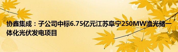 协鑫集成：子公司中标6.75亿元江苏阜宁250MW渔光储一体化光伏发电项目