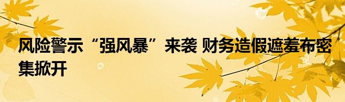 风险警示“强风暴”来袭 财务造假遮羞布密集掀开