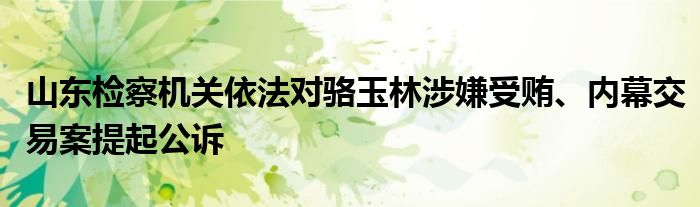 山东检察机关依法对骆玉林涉嫌受贿、内幕交易案提起公诉