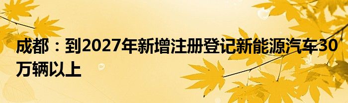 成都：到2027年新增注册登记新能源汽车30万辆以上