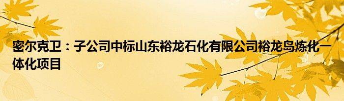 密尔克卫：子公司中标山东裕龙石化有限公司裕龙岛炼化一体化项目