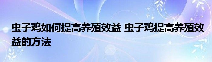 虫子鸡如何提高养殖效益 虫子鸡提高养殖效益的方法