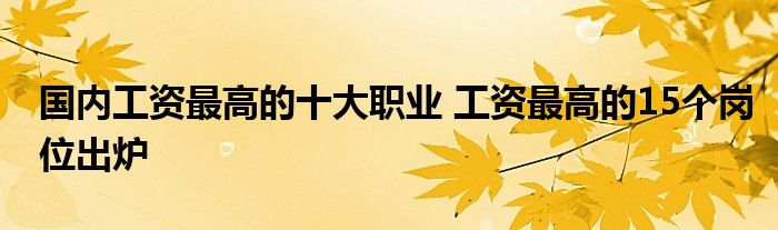 国内工资最高的十大职业 工资最高的15个岗位出炉